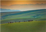 新疆的草原也太美了吧！每一张都是壁纸(人气：70)